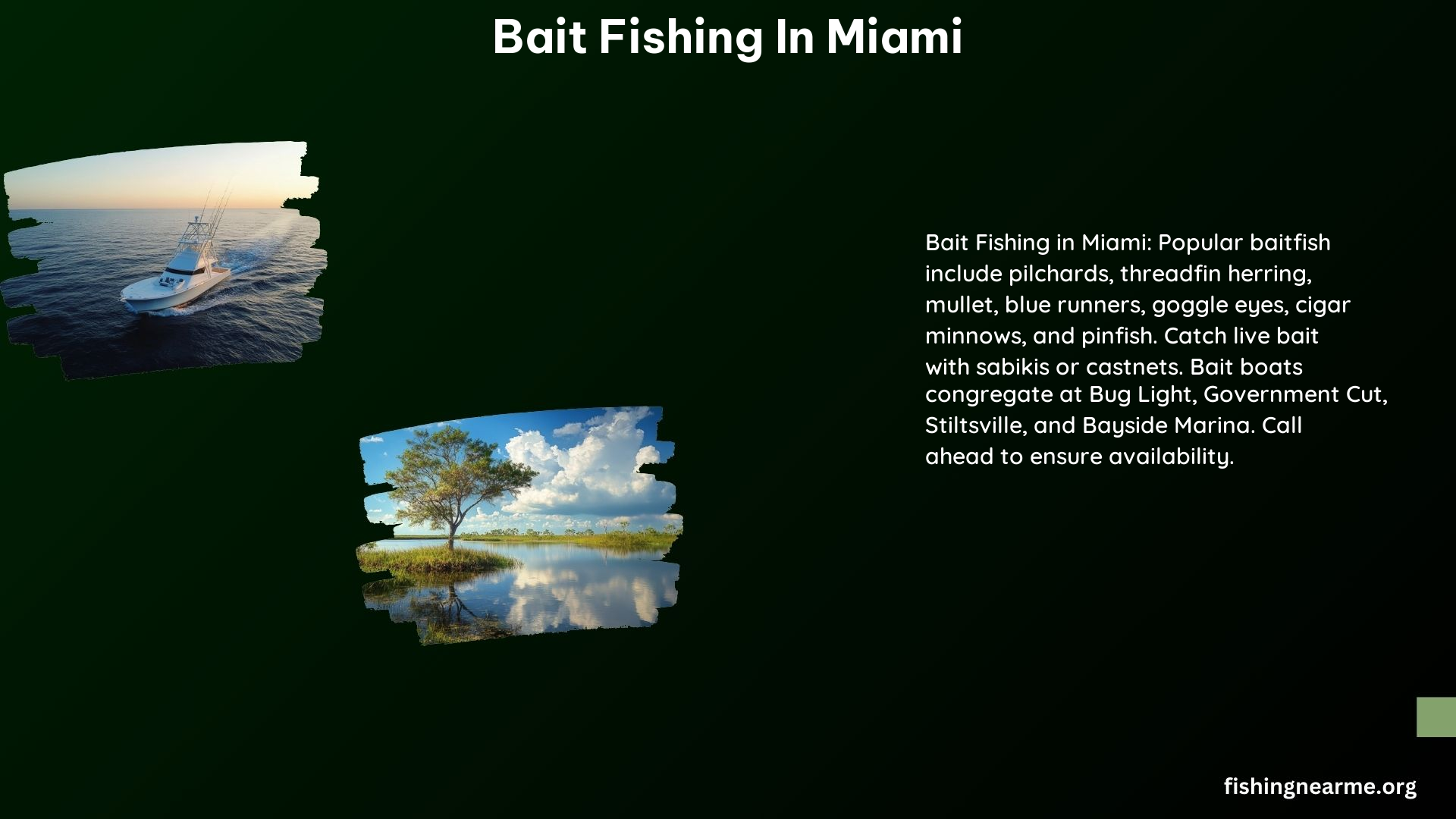 Bait Fishing in Miami