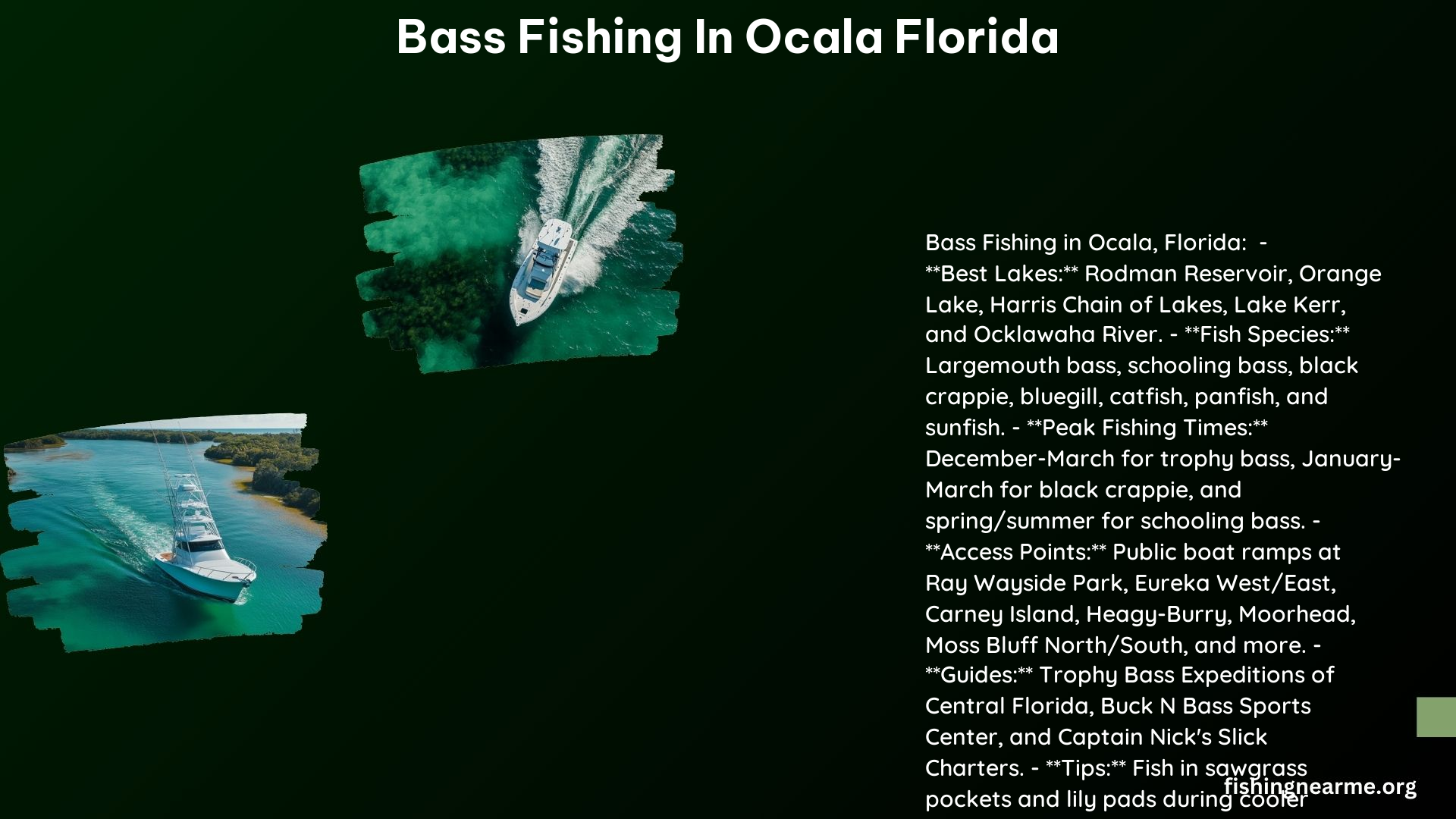 Bass Fishing in Ocala Florida