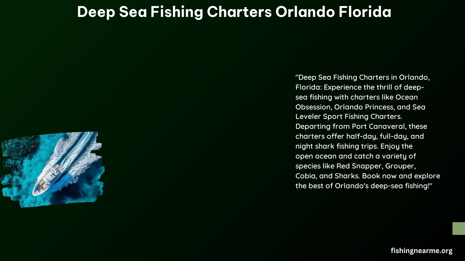  Deep Sea Fishing Charters Orlando Florida