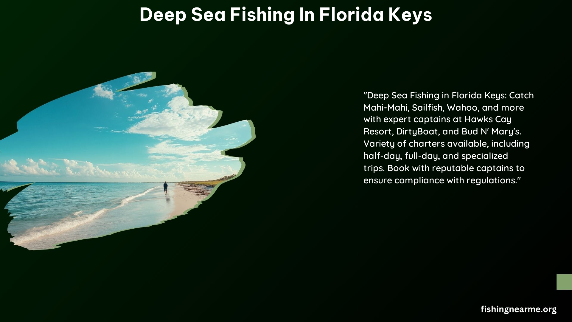 Deep Sea Fishing in Florida Keys