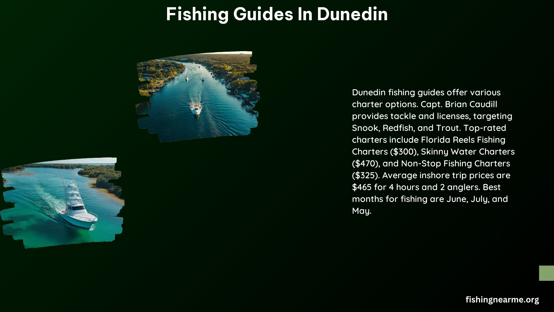 Fishing Guides in Dunedin