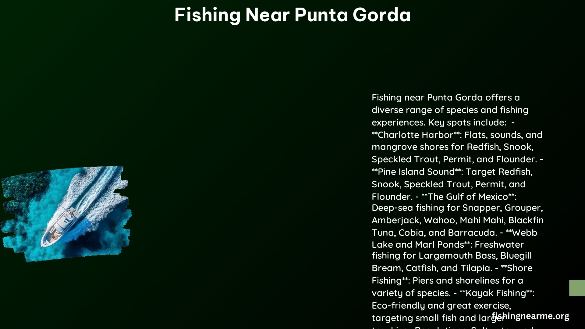 Fishing Near Punta Gorda