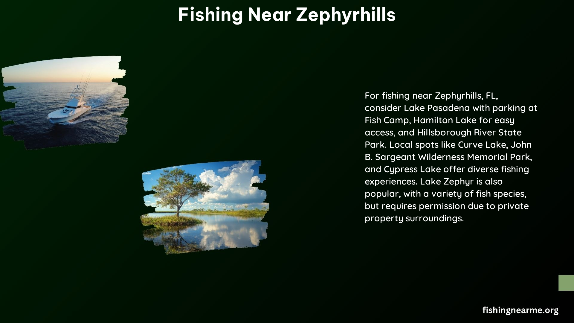 Fishing Near Zephyrhills