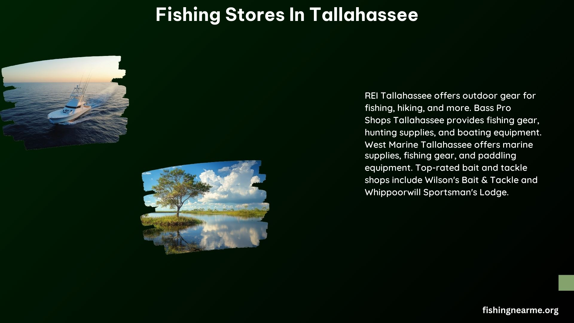 Fishing Stores in Tallahassee