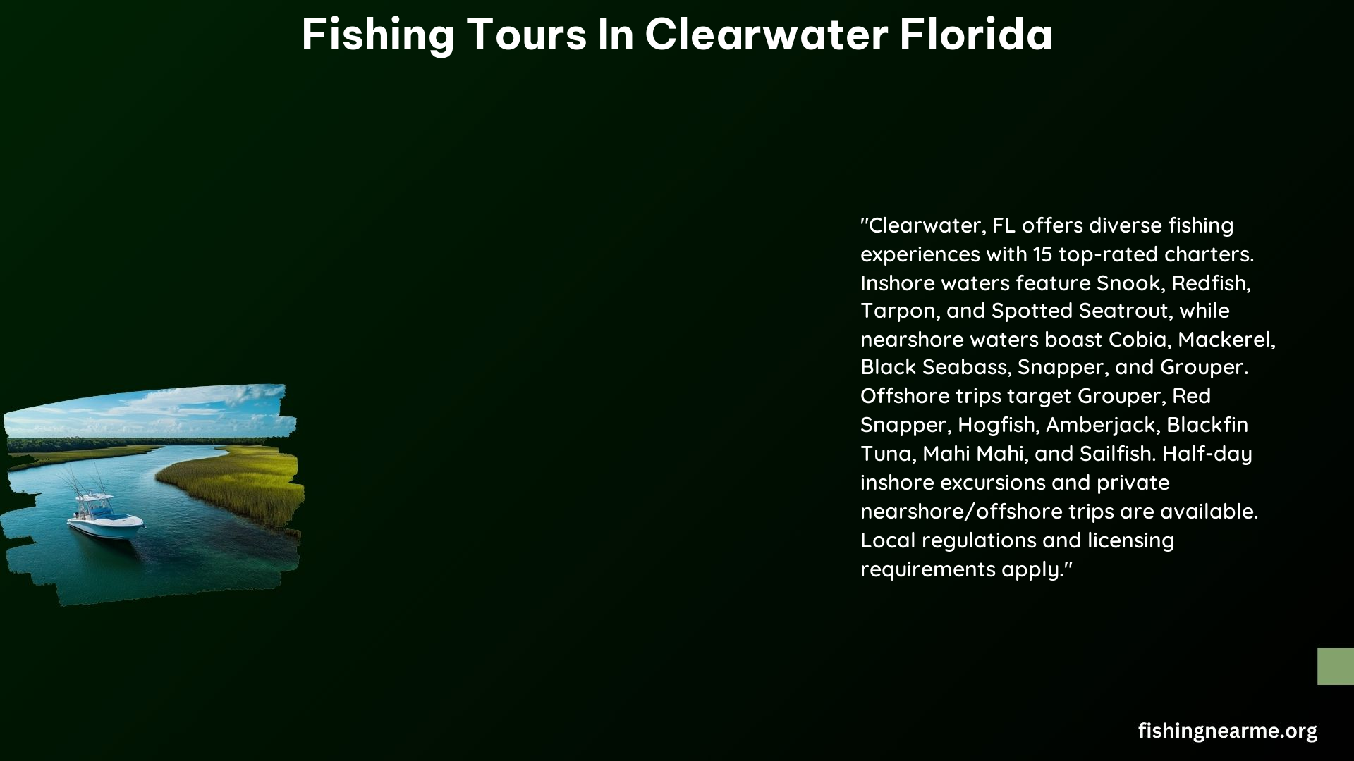 Fishing Tours in Clearwater Florida