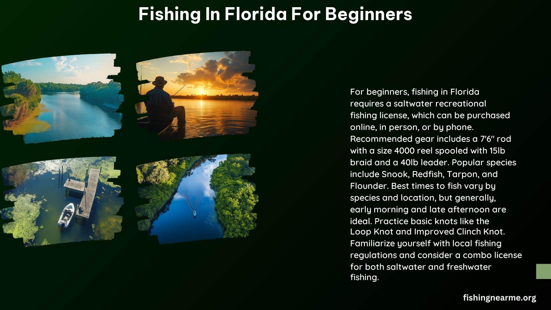 Fishing in Florida for Beginners