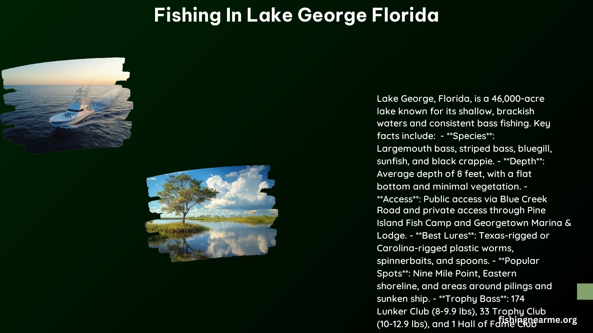 Fishing in Lake George Florida