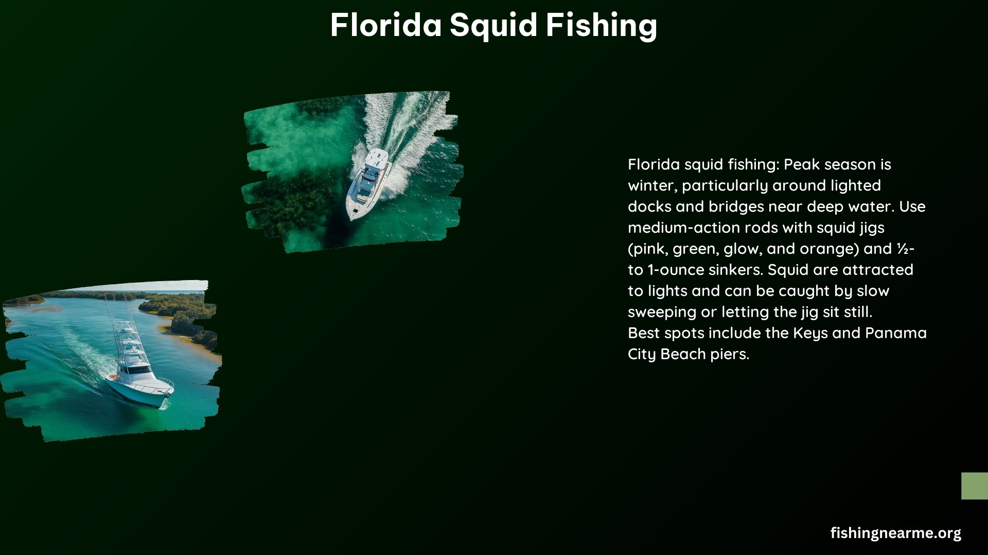 Florida Squid Fishing