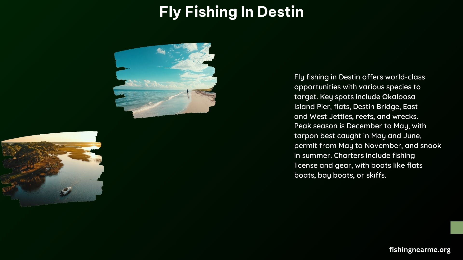 Fly Fishing in Destin