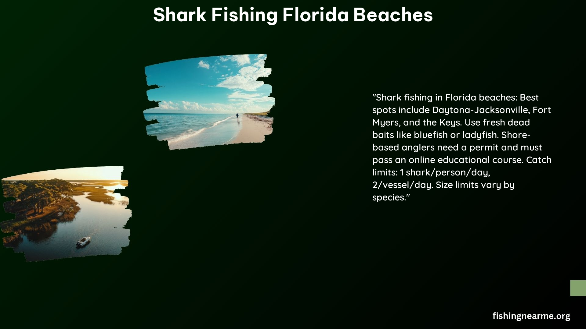 Shark Fishing Florida Beaches