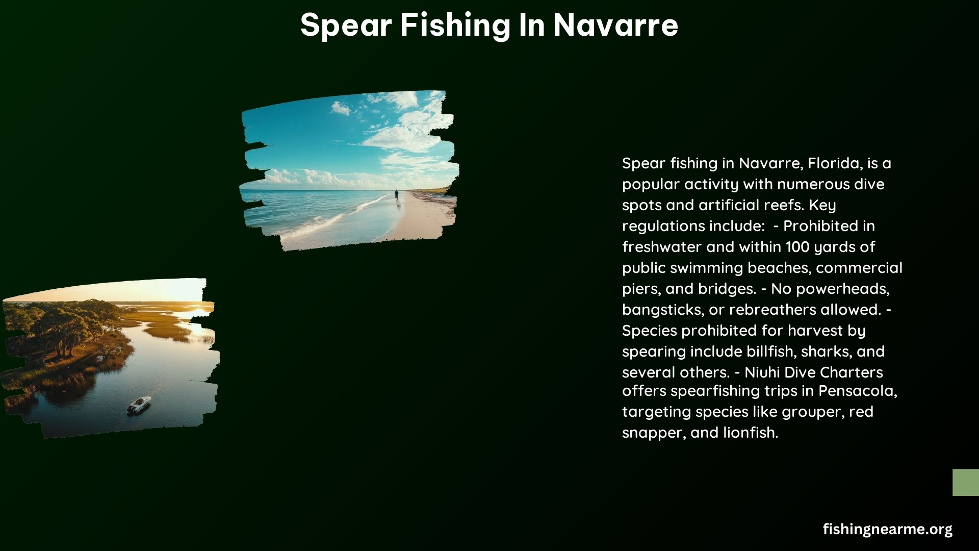 Spear Fishing in Navarre