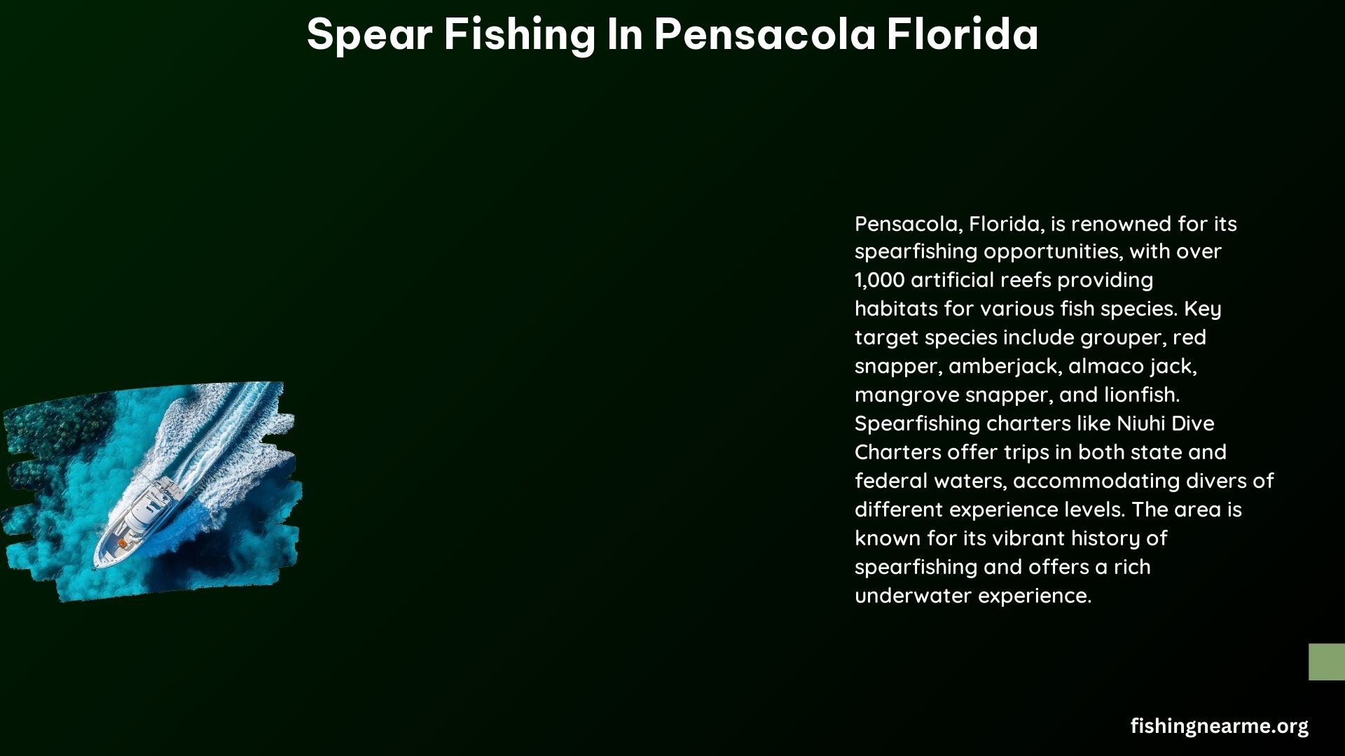 Spear Fishing in Pensacola Florida