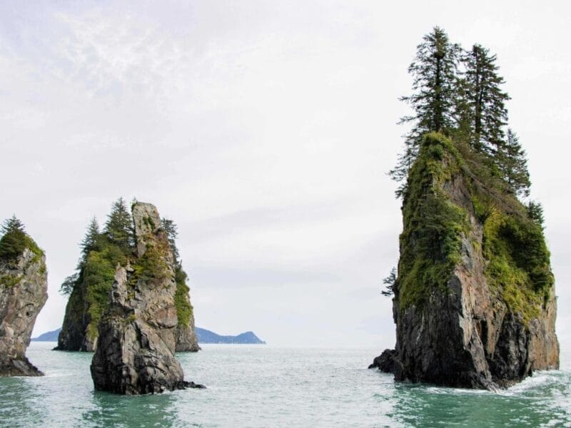 Alaska Northern Outfitters – Expert Seward Halibut Charters, USA