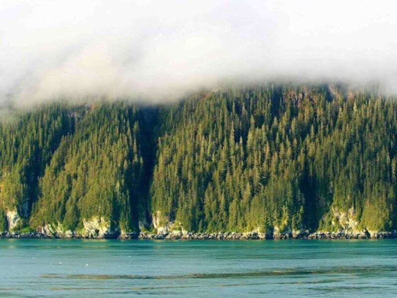 Seafarer Suites – Homer, Alaska, USA