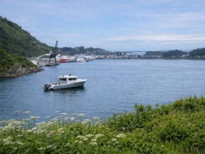 A Smiling Bear B&B – Cozy Coastal Stay in Kodiak, Alaska, USA