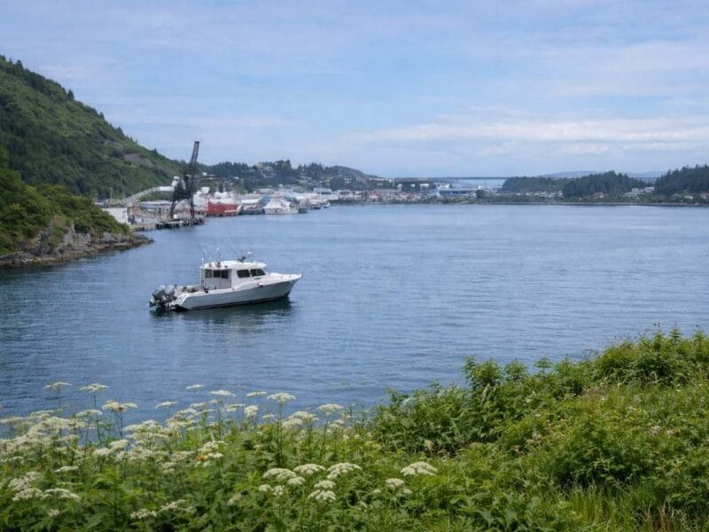 A Smiling Bear B&B – Cozy Coastal Stay in Kodiak, Alaska, USA