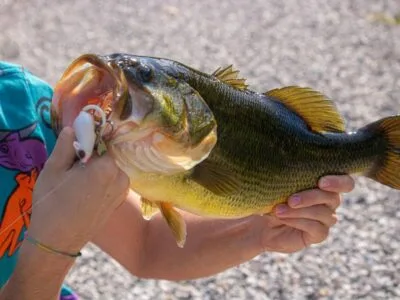 Balsam Resort – Balsam Lake Fishing, Ontario, Canada