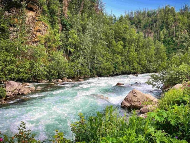 Bear Creek Outfitters – Alaska, USA