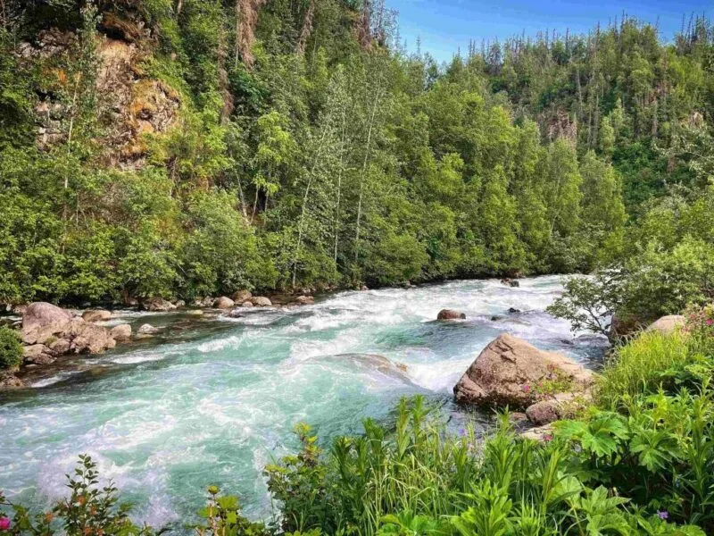 Bear Creek Outfitters – Alaska, USA