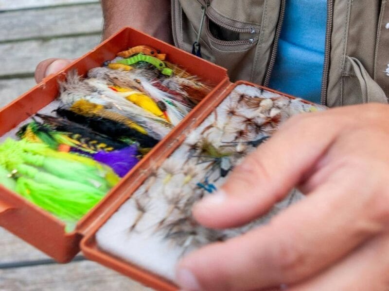 Algonquin Fly Fishing Premium Guide Service – Expert Algonquin Park Fishing, ON, Canada