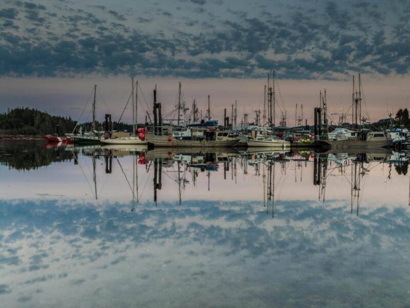 Serengeti Fishing Charters – Port Hardy Fishing, BC, Canada